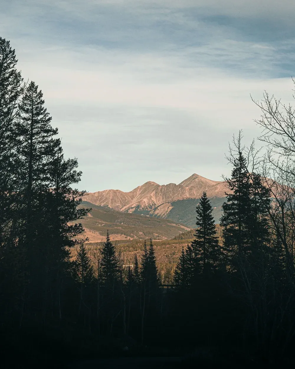 Sunlit mountain peaks rising above an evergreen forest in Colorado's high country