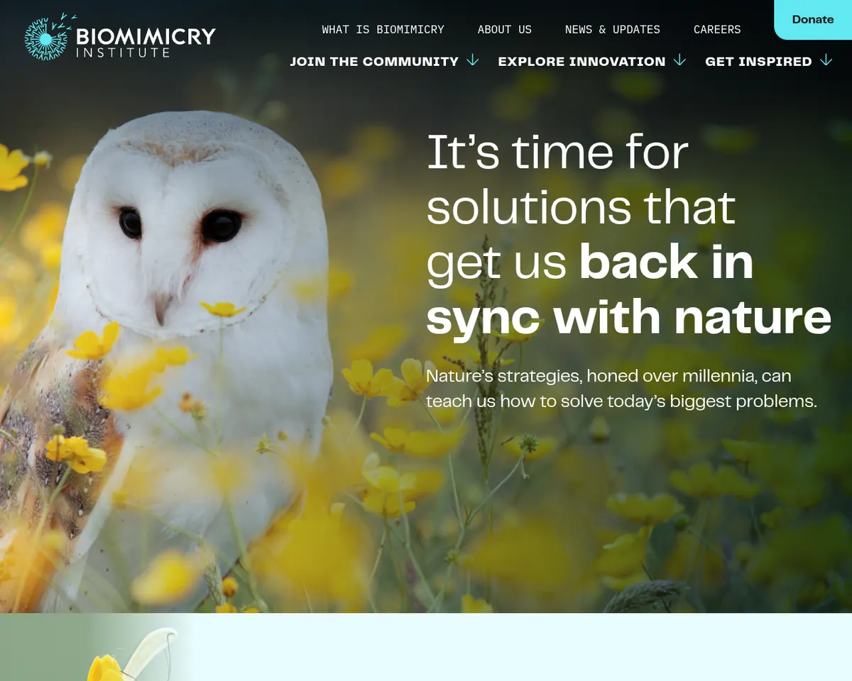 Visit the Biomimicry Institute website (opens in a new tab)