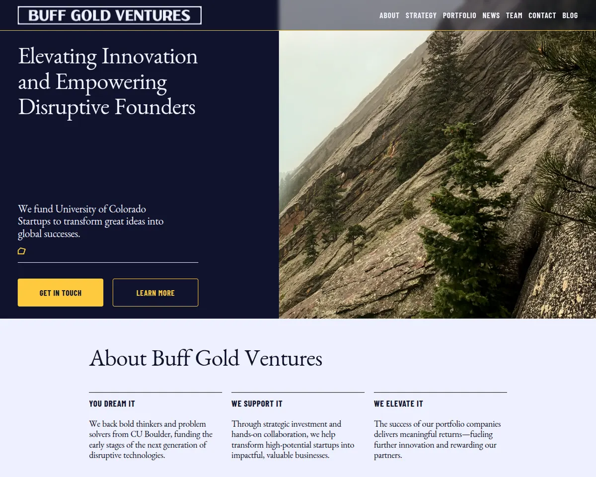 Visit the Buff Gold Ventures website (opens in a new tab)