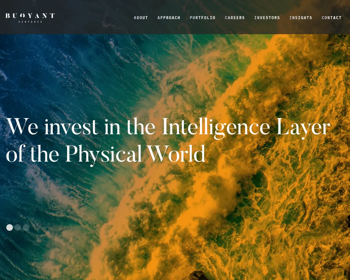 Visit the Buoyant Ventures website (opens in a new tab)