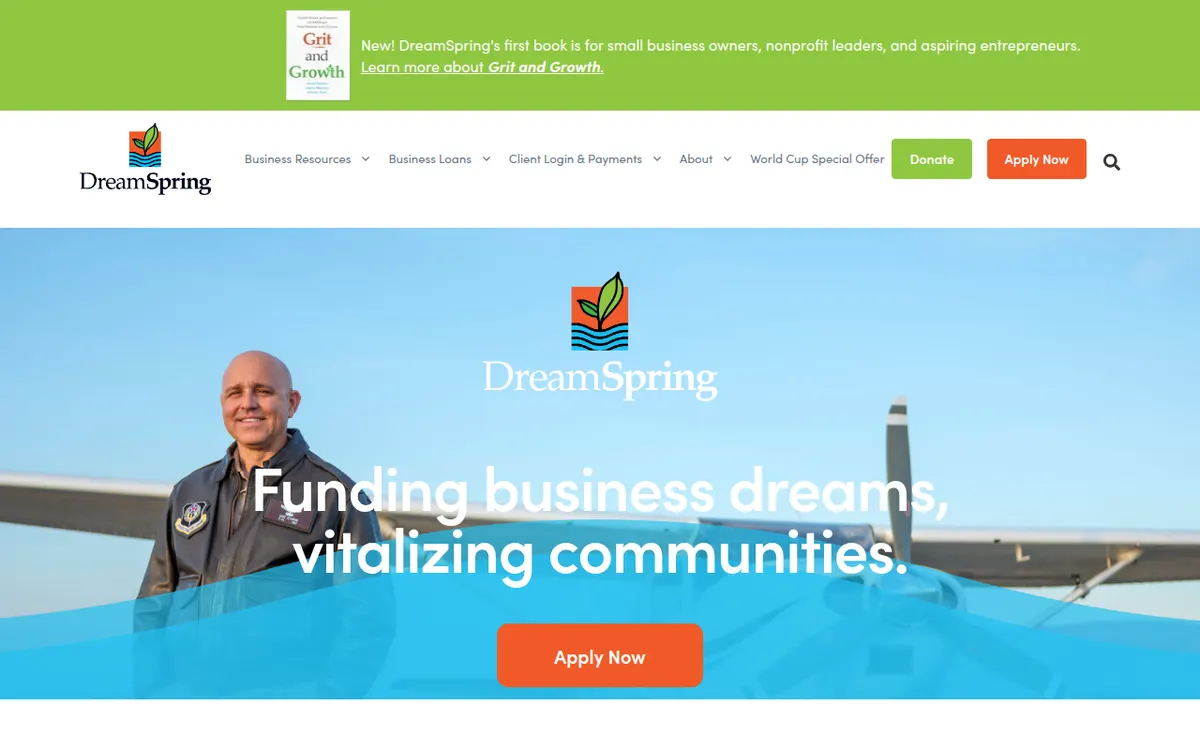 Visit the DreamSpring website (opens in a new tab)