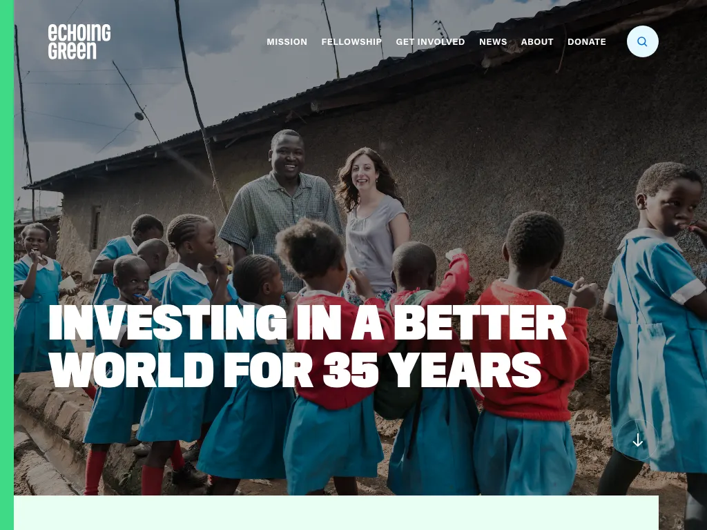 Visit the Echoing Green website (opens in a new tab)