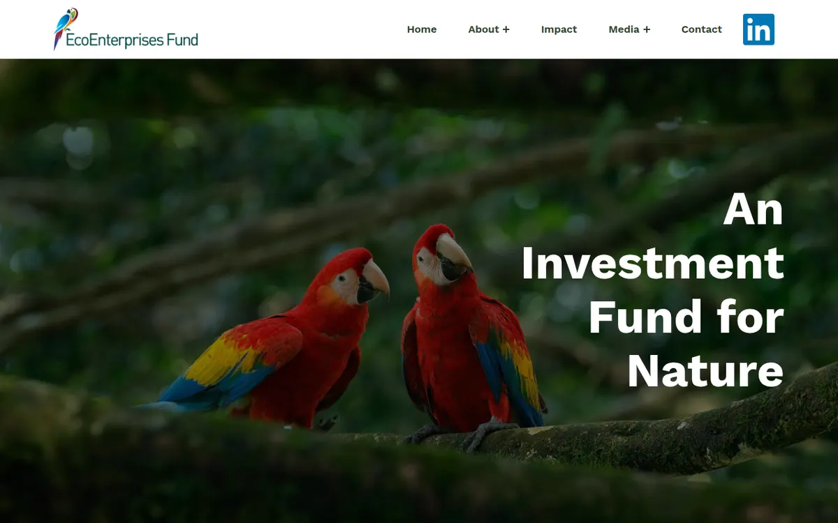Visit the EcoEnterprises Fund website (opens in a new tab)