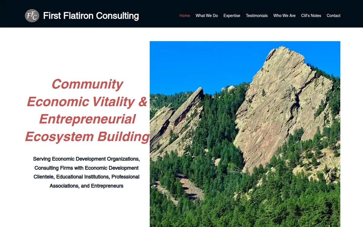 Visit the First Flatiron Consulting website (opens in a new tab)
