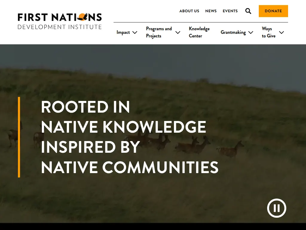 Visit the First Nations Development Institute website (opens in a new tab)