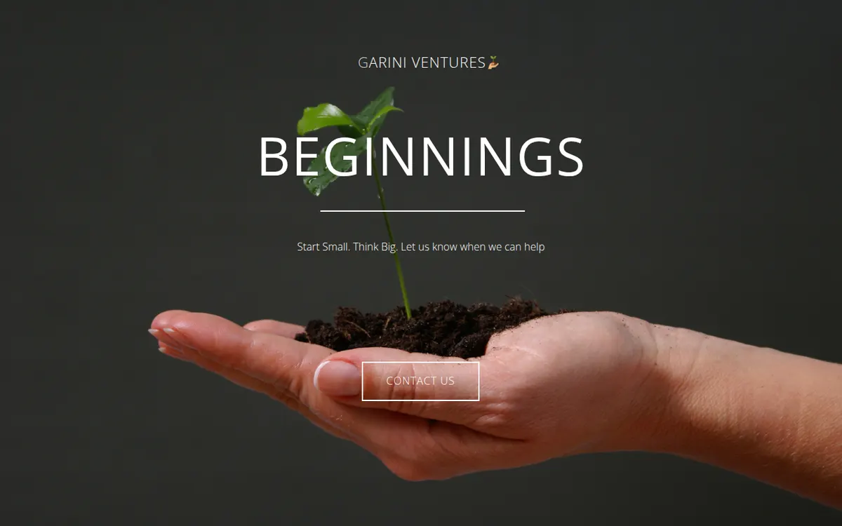 Visit the Garini Ventures website (opens in a new tab)