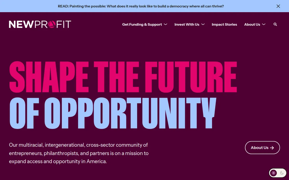 Visit the New Profit website (opens in a new tab)