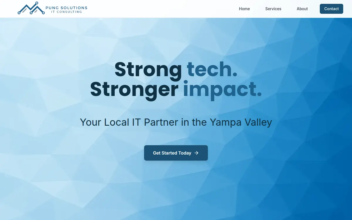 Visit the Pung Solutions website (opens in a new tab)