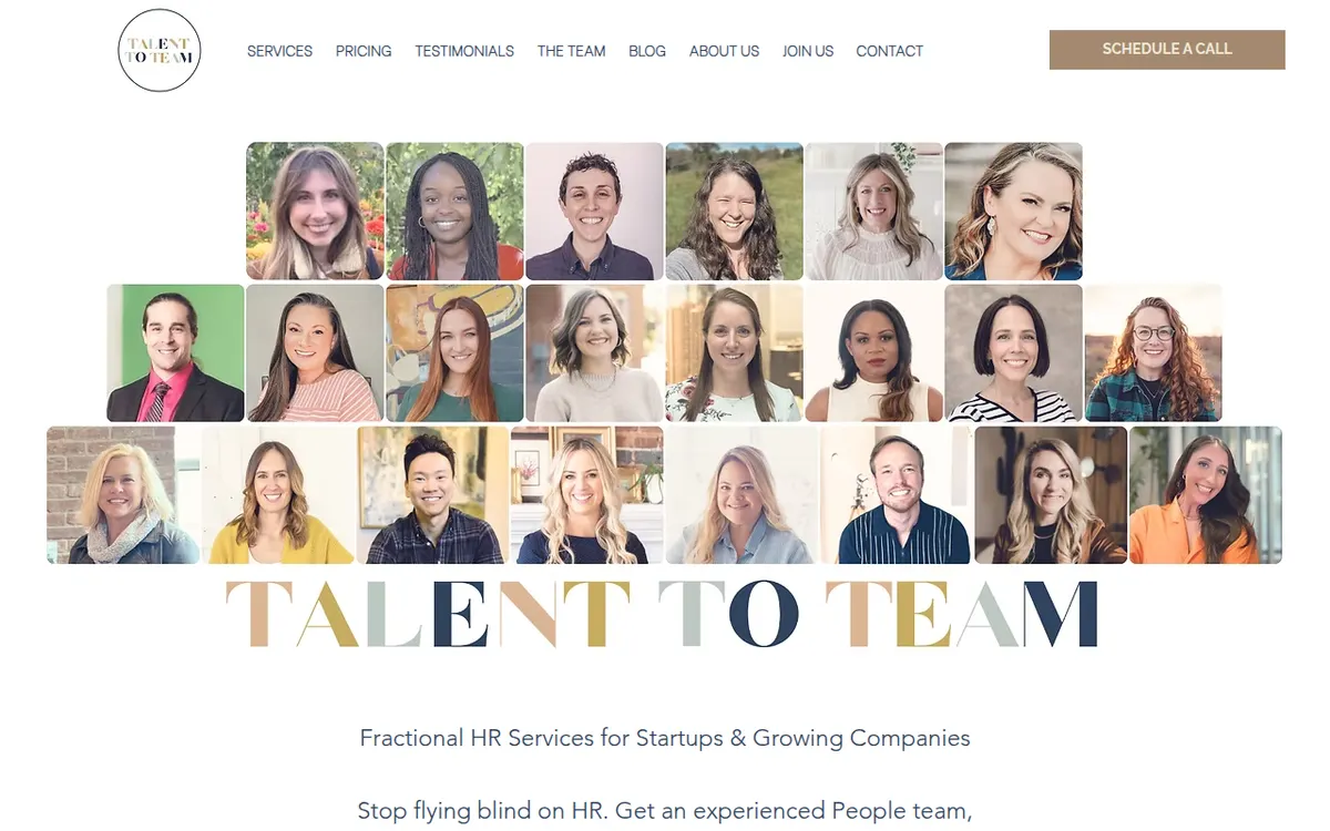 Visit the Talent to Team website (opens in a new tab)