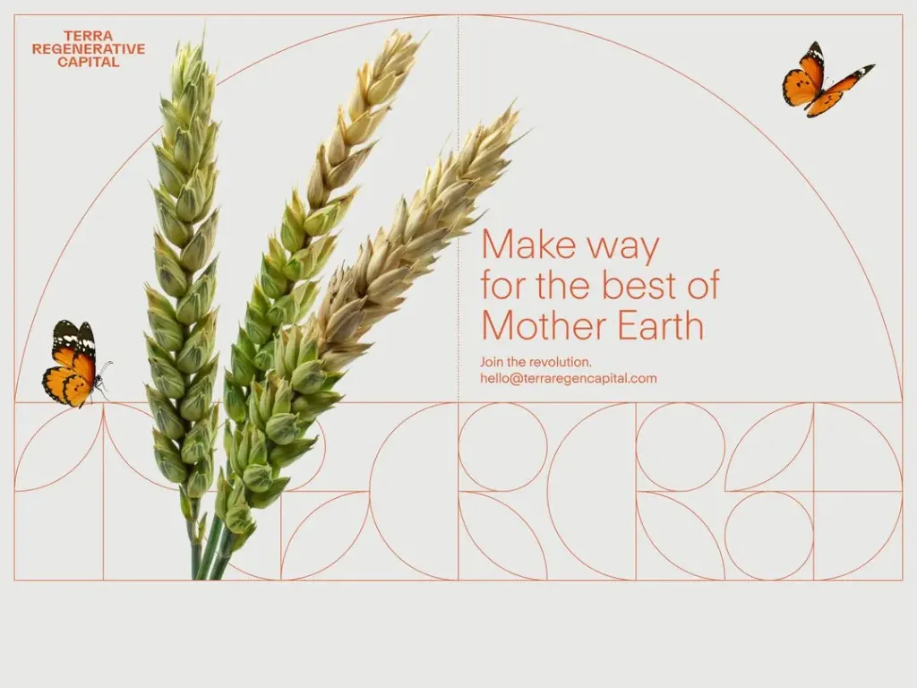 Visit the Terra Regenerative Capital website (opens in a new tab)