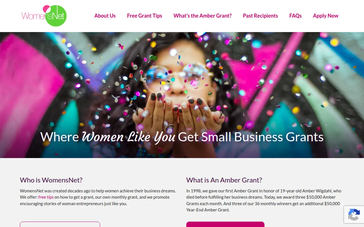 Visit the WomensNet Amber Grant website (opens in a new tab)